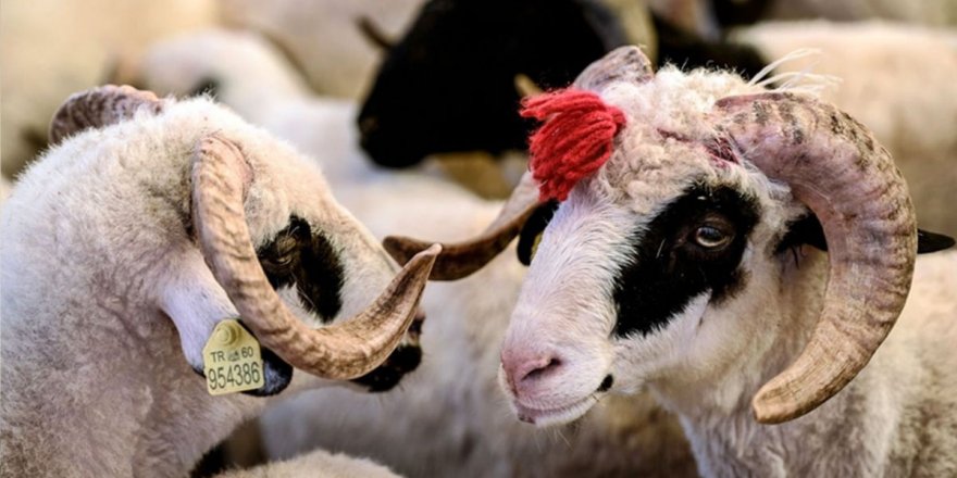 Kurban Bayramı Tatili Kaç Gün! Vatandaşın İstediği Sonunda Oldu