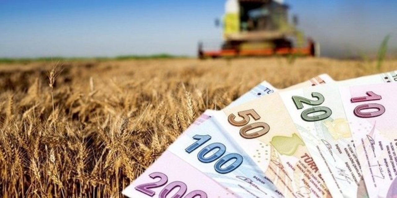 Tarım Sektöründe Üzücü Olay! Türkiye Buğday Bulamadı! Bakın Hangi Ülkenin Kapısını Çaldı?