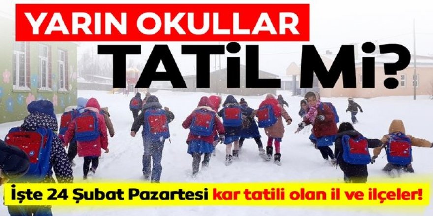 24 Şubat Pazartesi Kar tatili olan iller!