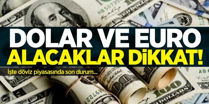 Dolar piyasasında son durum! 24 Pazartesi Dolar kaç para?