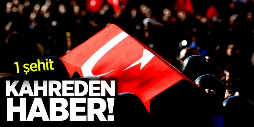 Ağrı'dan acı haber! 1 personel şehit oldu