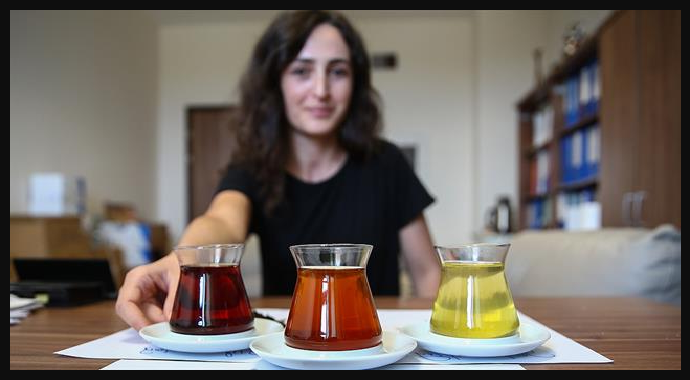 Türkiye’de İlk Oolong Çayı Üretildi