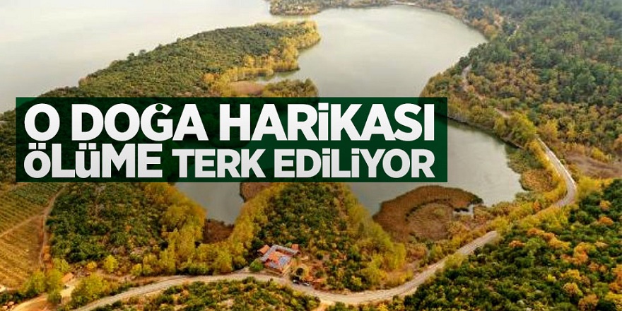O doğa harikası Kovada Gölü ölüme terk ediliyor