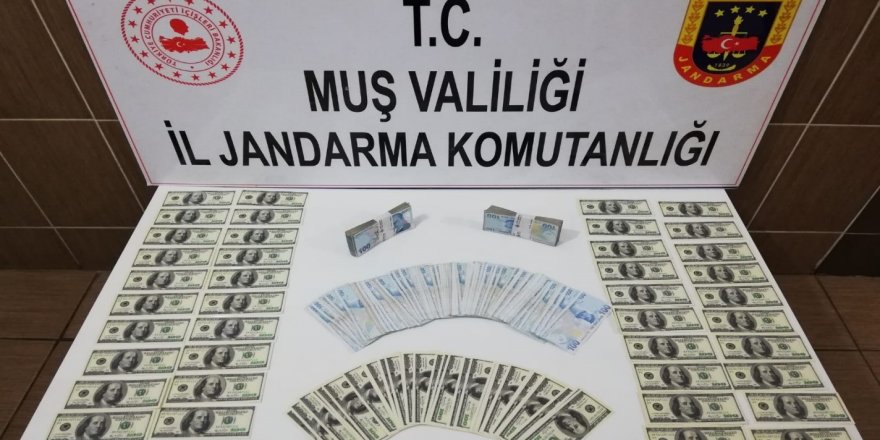 Muş'ta Sahte 100 Dolar Operasyonu