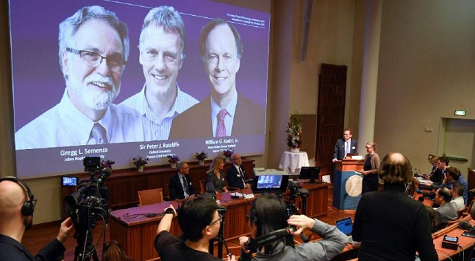 2019 Nobel Tıp Ödülü Sahiplerini Buldu