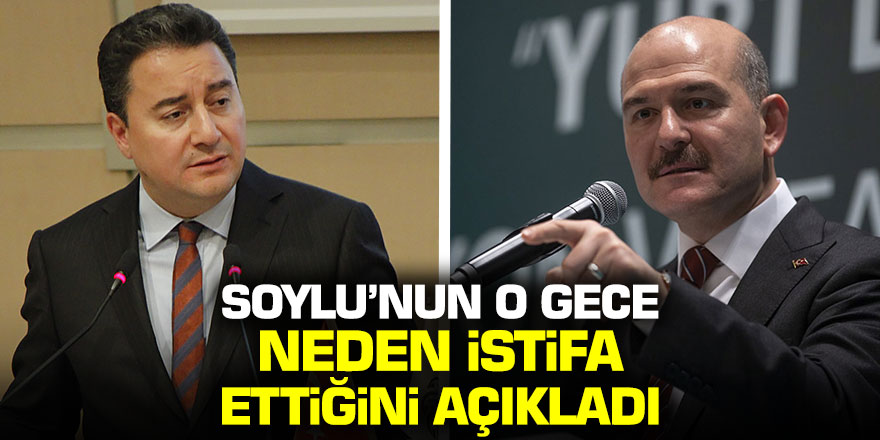 Ali Babacan, Süleyman Soylu'nun neden istifa ettiğini açıkladı