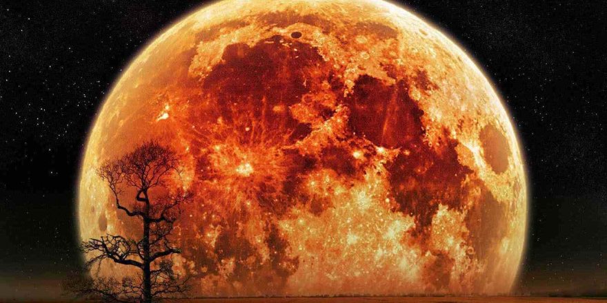 Bilim İnsanları Mars’ta Nasıl Medeniyet Kurulacağını Açıkladı