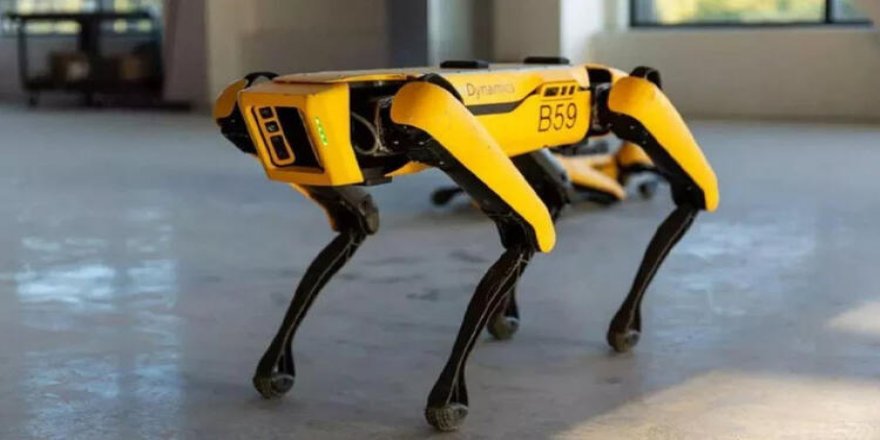 O Robotlar Artık Devriye Geziyor!