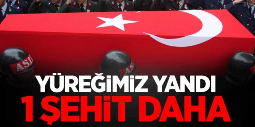 MSB Açıkladı: 1 askerimiz şehit düştü