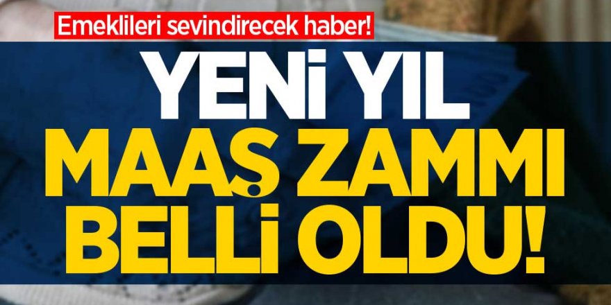 Emekli ve Memurlara Gelen Zam Yüzleri Bir Nebzede Olsa Güldürdü! Emekli ve Memurlara Ne Kadar Zam Geldi?