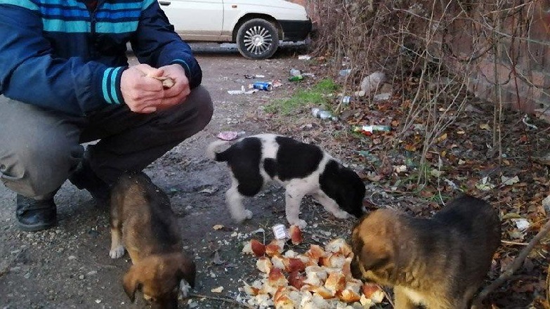 Sakarya’da İnsanlık Dışı Olay