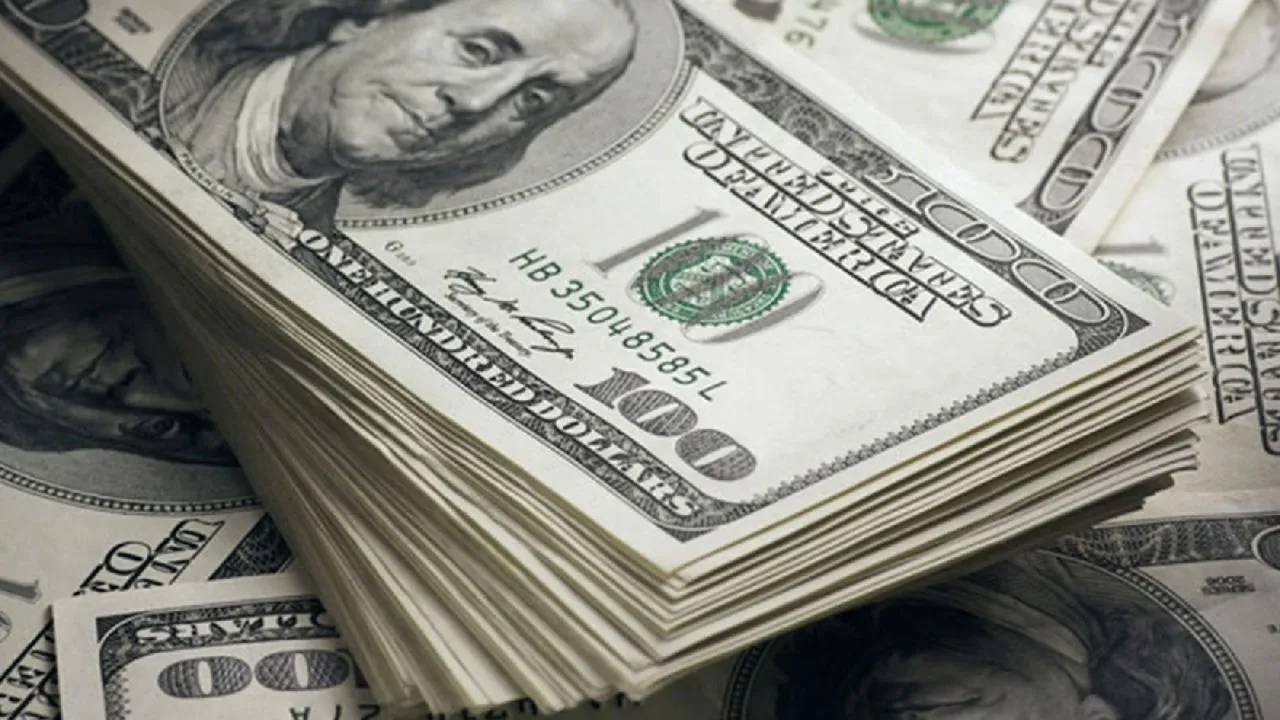 Selçuk Geçer Dolar Tahminini Açıkladı! 30 TL'yi Geçecek mi?