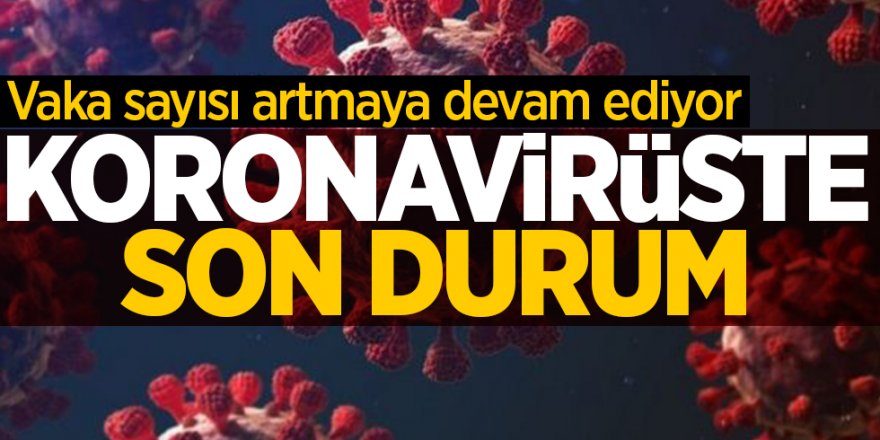 Bakanlık Üzücü Haberi Duyurdu: 346 kişi hayatını kaybetti