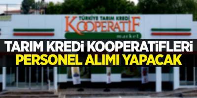 Tarım Kredi Kooperatiflerinden Çalışan ve Mühendis Alımı! Kooperatif Görevlisi Olma Şartları!